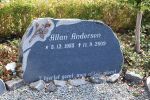 Allan  Andersen.JPG